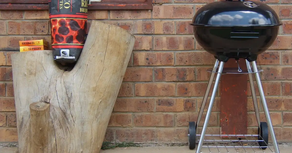 Aanmaakblokjes barbecue