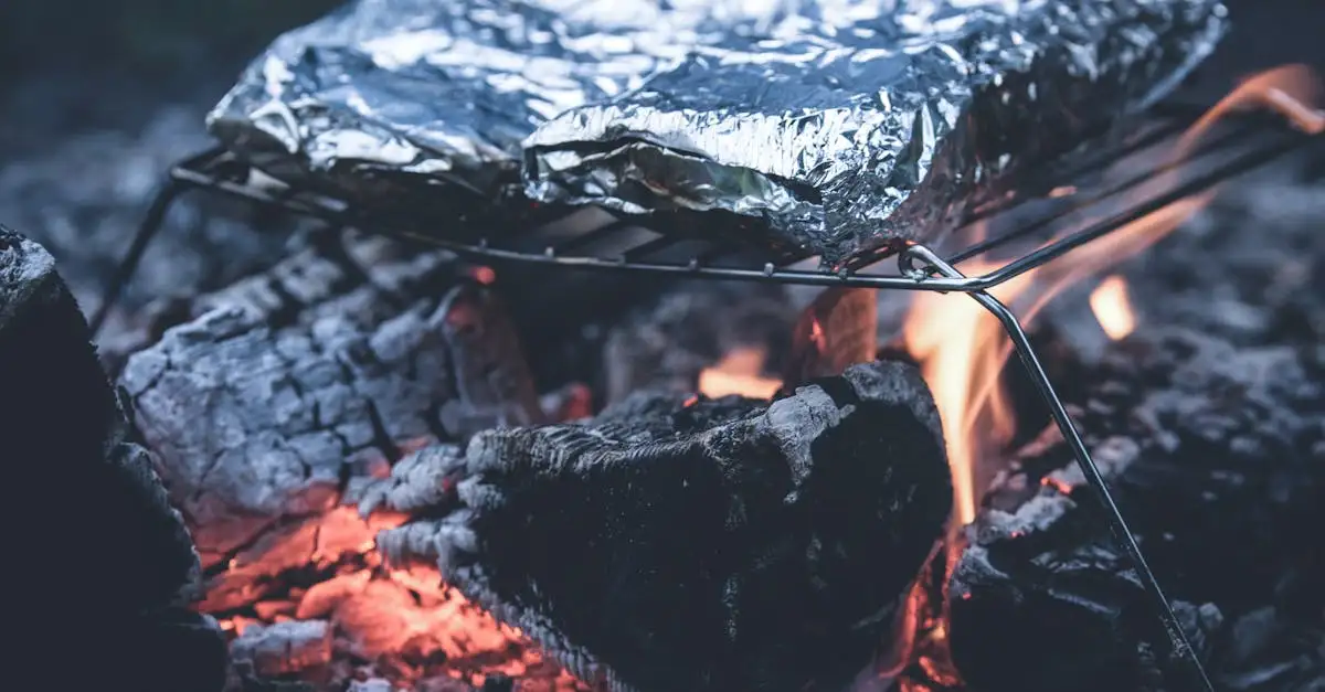 Aluminiumfolie voor de barbecue kopen en gebruiken