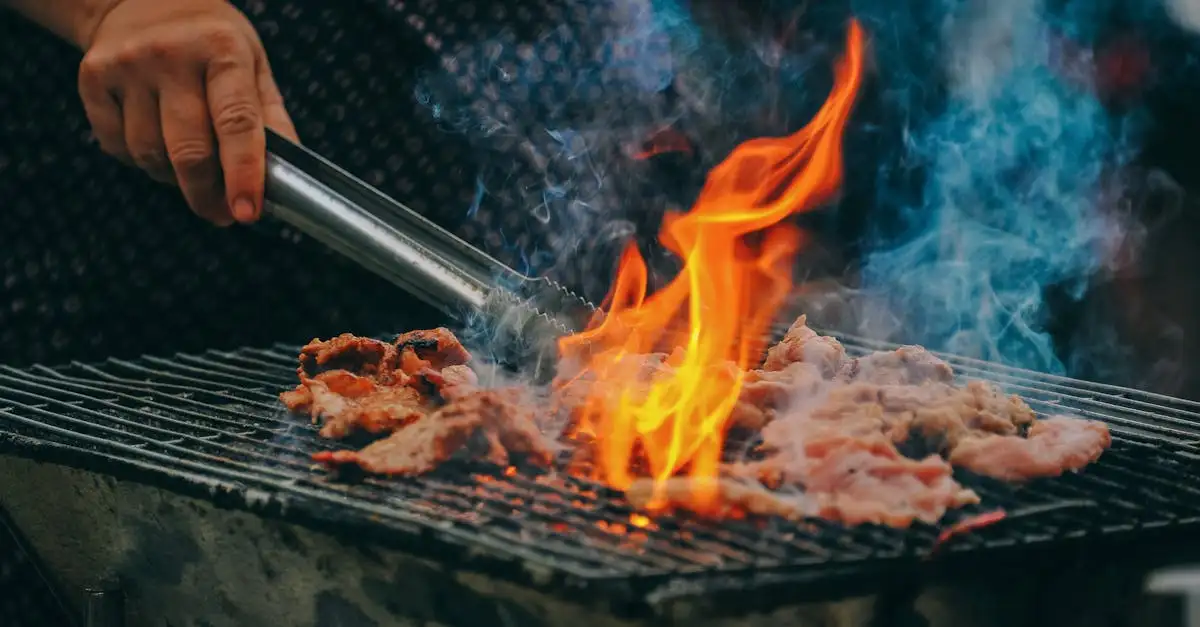Barbecue 47cm