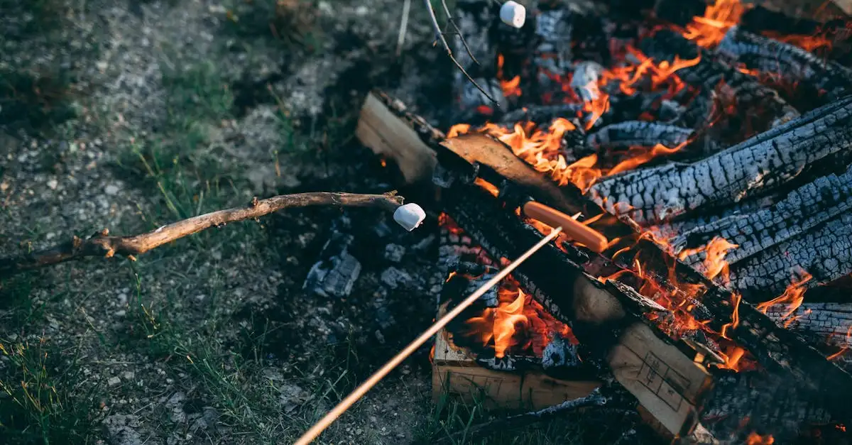 Barbecue experience Roosendaal: Beleef de beste