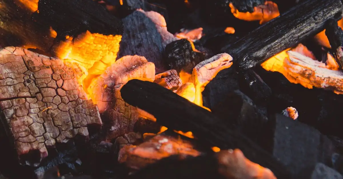 Barbecue houtskool briketten kopen voor de beste smaak