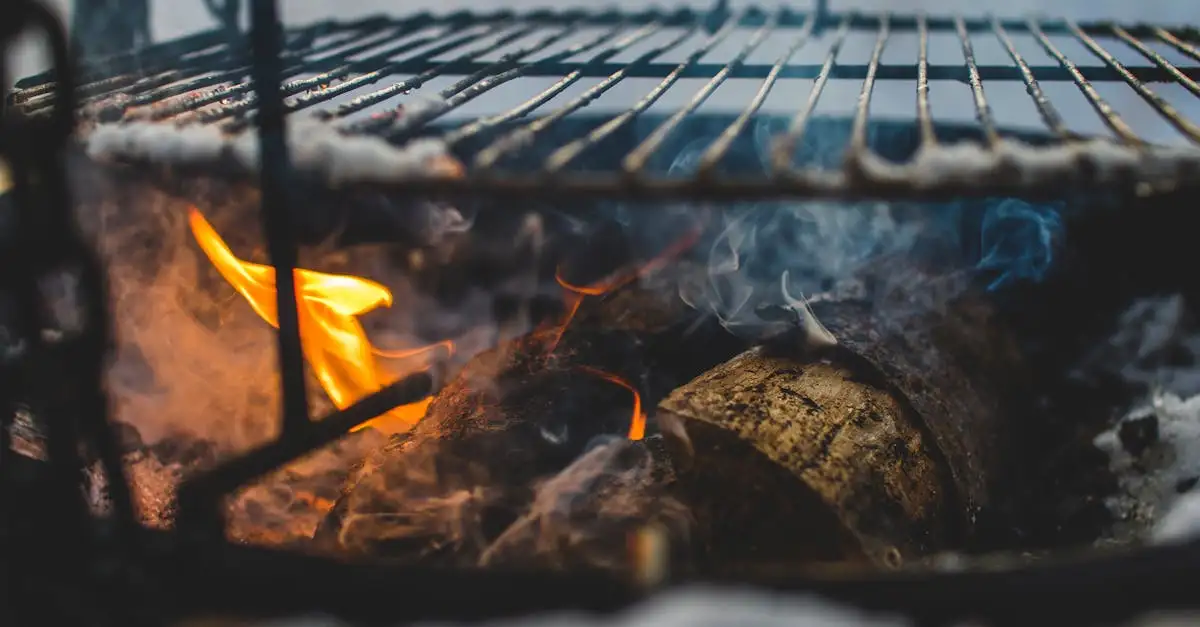 Barbecue kolen kopen: Kwaliteit en beste prijzen