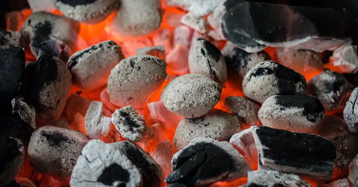 Barbecue in Leeuwarden: De beste grills en accessoires