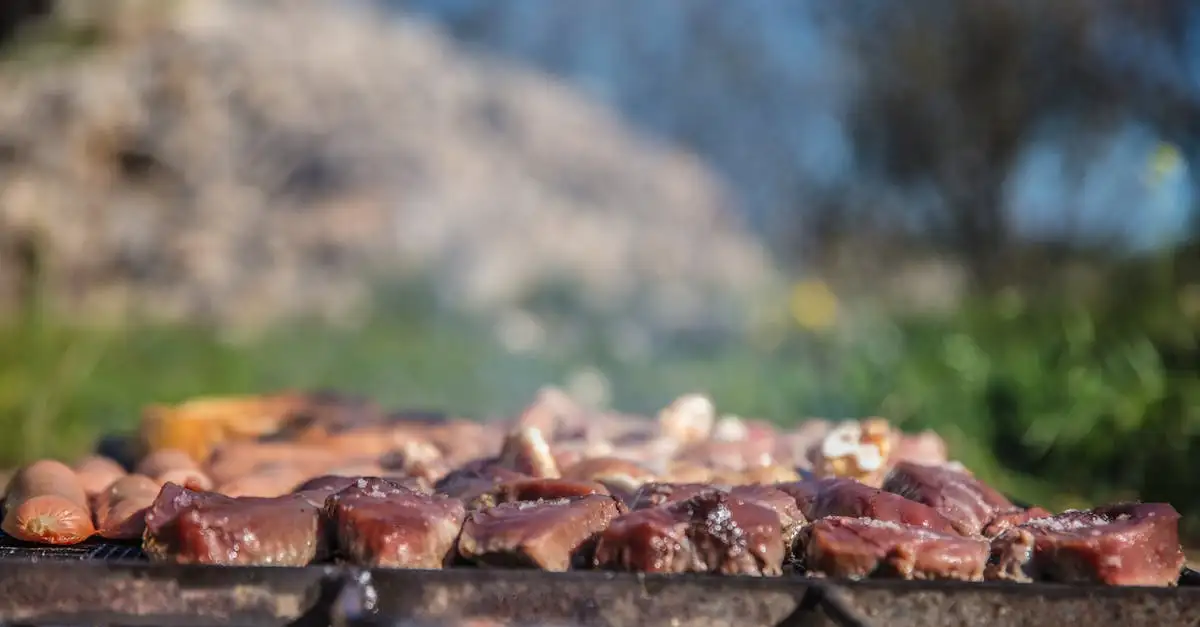 Barbecue overkapping