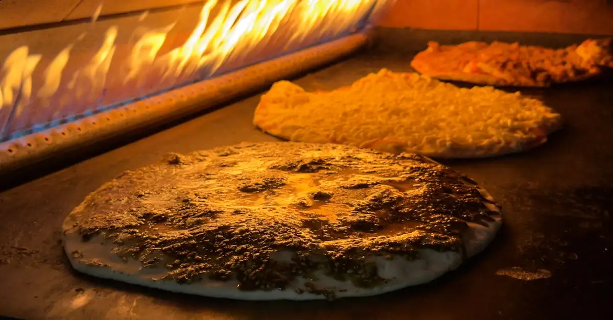 Barbecue pizza oven