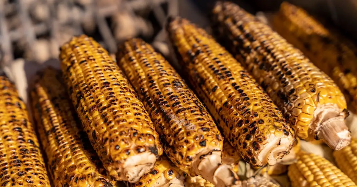 Barbecue producten kopen: alles voor uw grillplezier