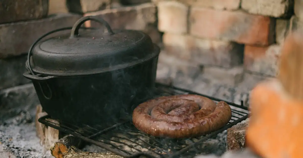 Barbecue rooster van gietijzer kopen voor de beste grill
