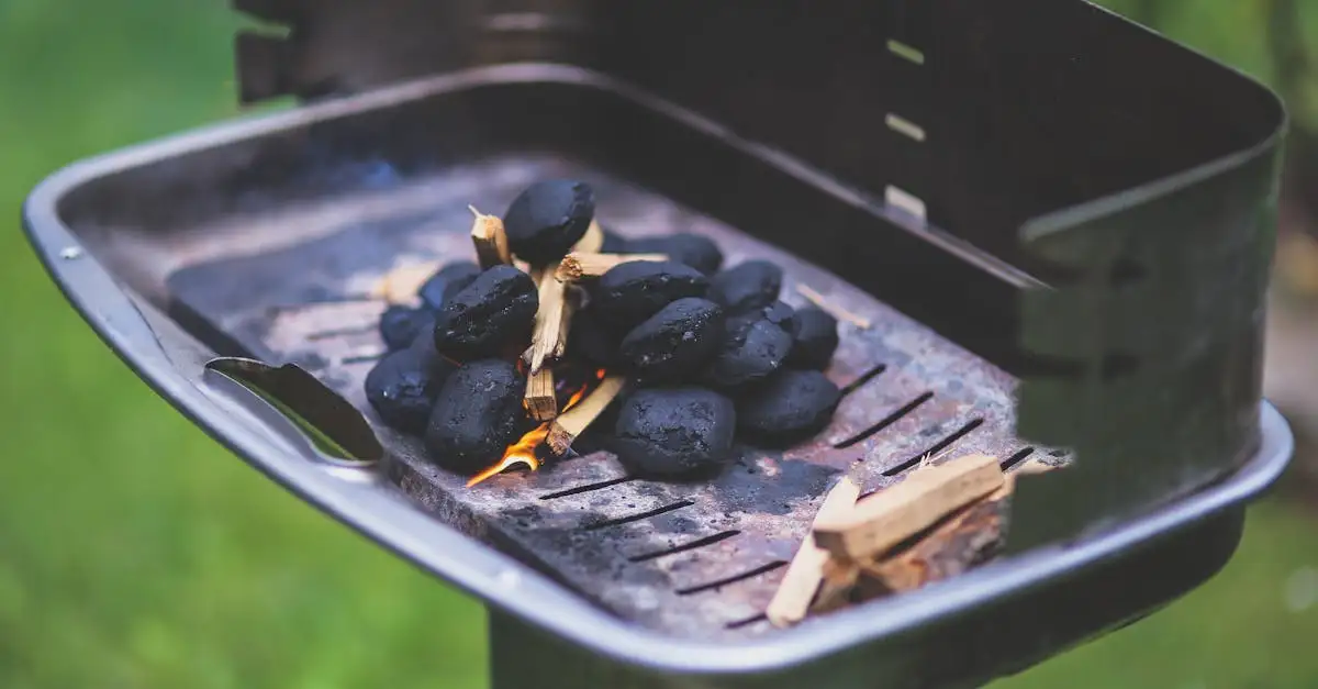 Barbecue starter action: Alles voor een perfecte start