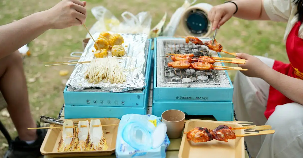 Vind de beste draagbare barbecues voor op de camping