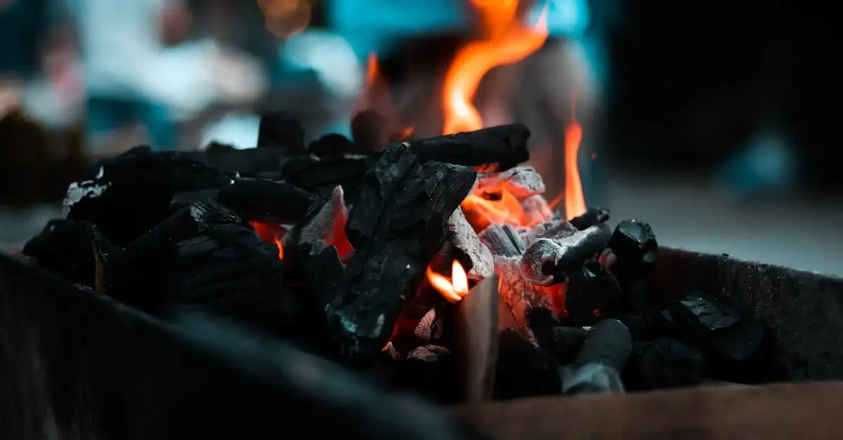 Campingaz vlamverdeler 3 4 serie barbecue onderdelen