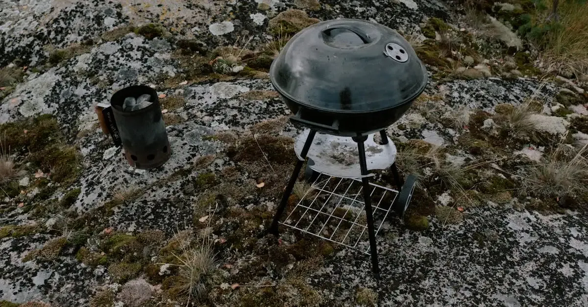 Barbecue grills portable