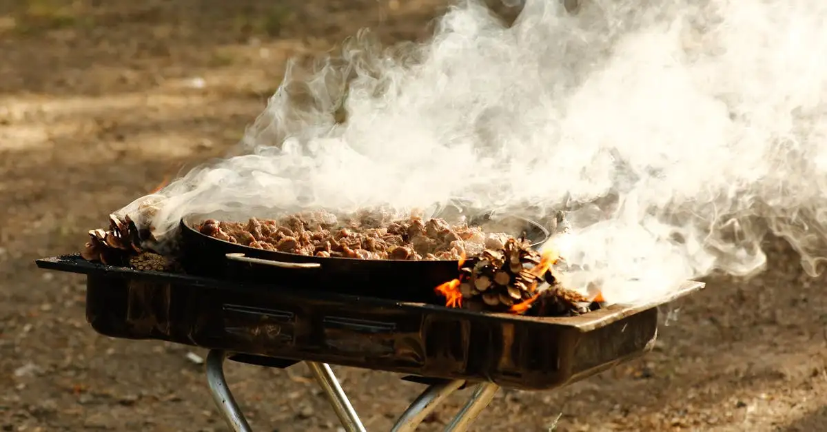 Barbecue gas camping