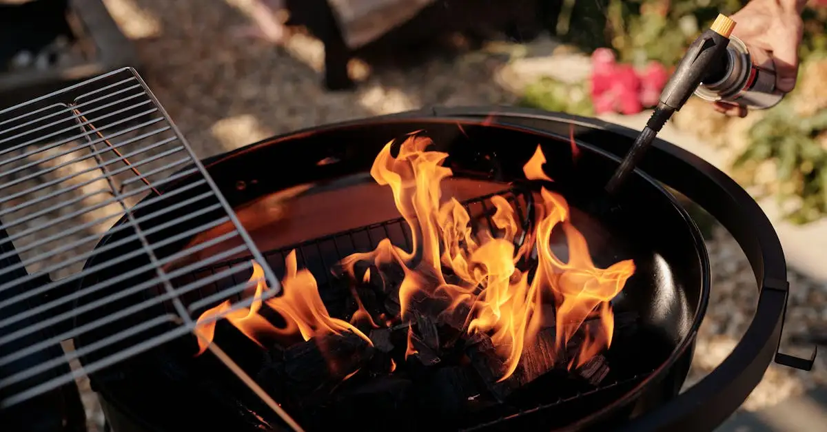 Gas barbecue camping