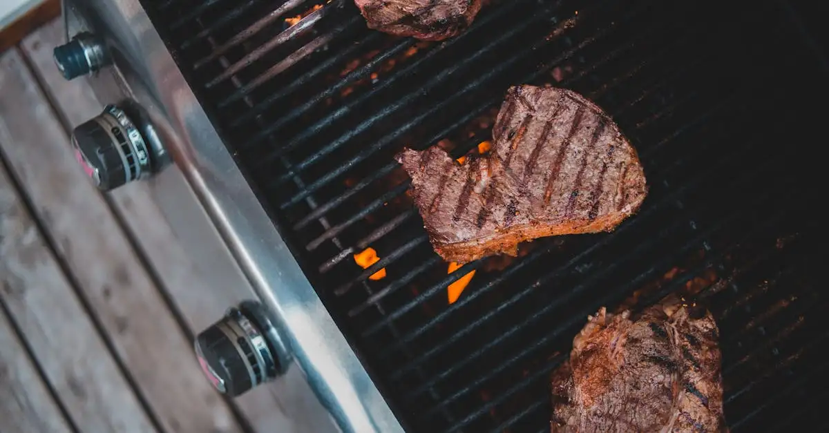 Gasbrander barbecue kopen? Bekijk ons assortiment