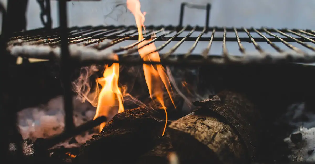 Barbecue inklapbaar