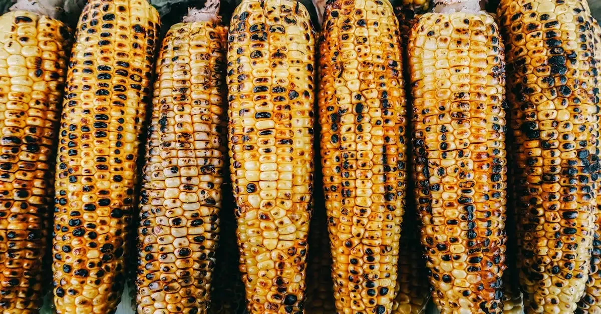 Barbecue kansas city