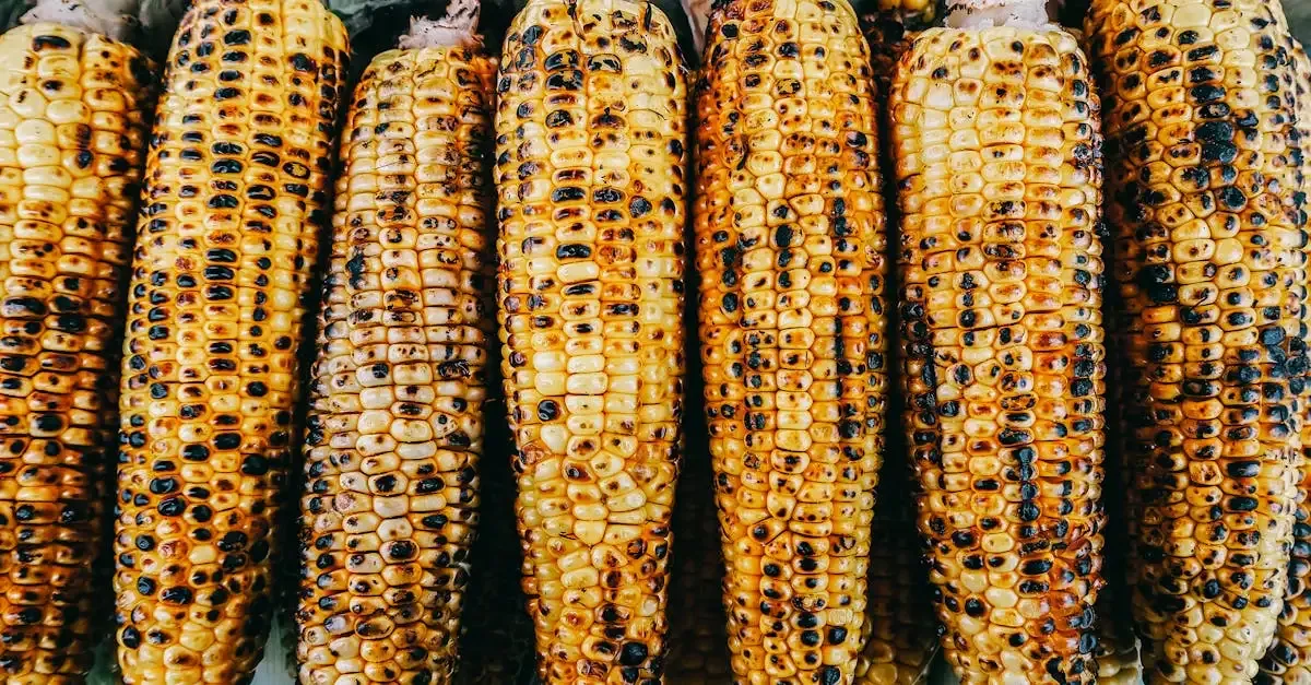 Maiskolven barbecue: Heerlijke recepten en tips voor de