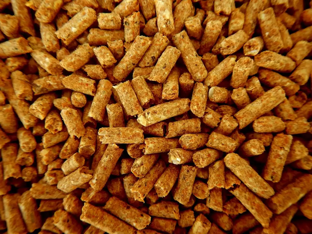 Pellet barbecue