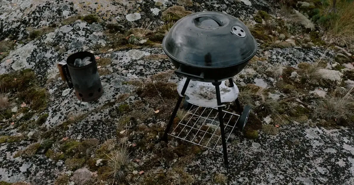 Picknick barbecue: Geniet van een barbecue op locatie