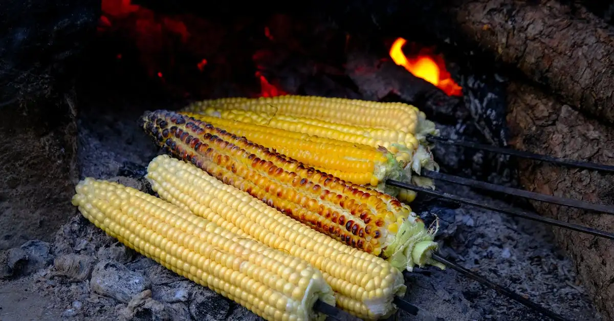 Schanskorf barbecue