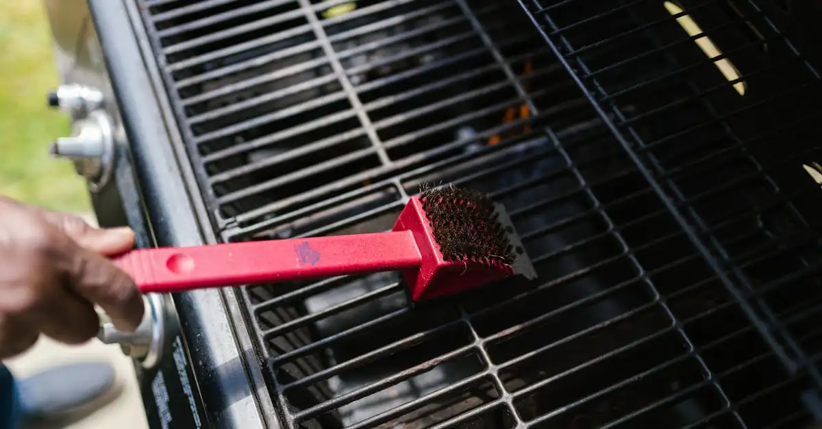 Staalborstel barbecue