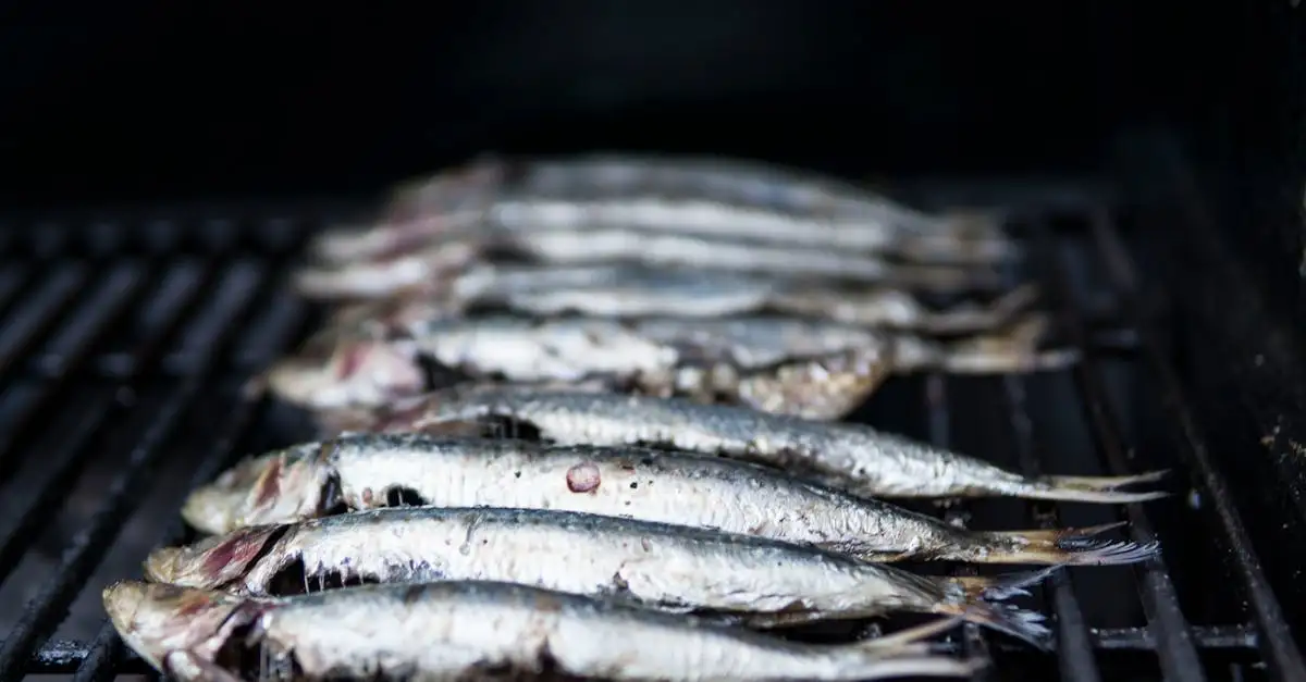 De lekkerste vis grillen op de barbecue: tips en recepten.