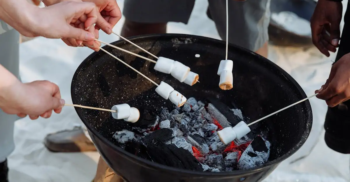 Weber barbecue mini