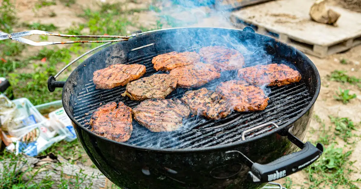 Barbecue tang weber