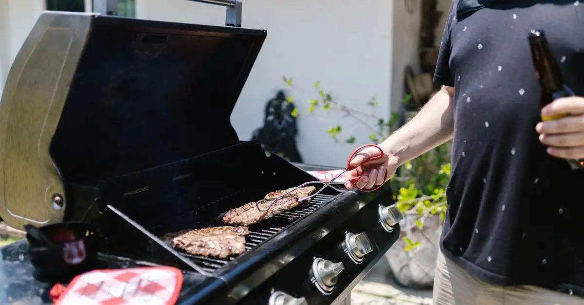 Barbecue weber mini